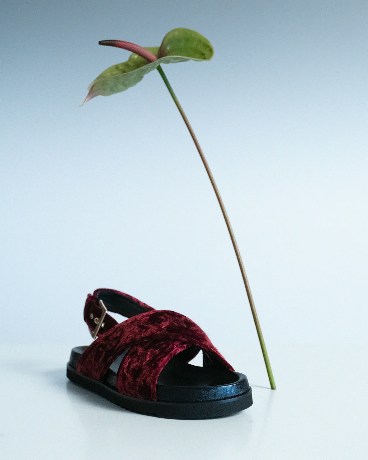 Bloom Crossed Sandals Ruby Red - Image 8